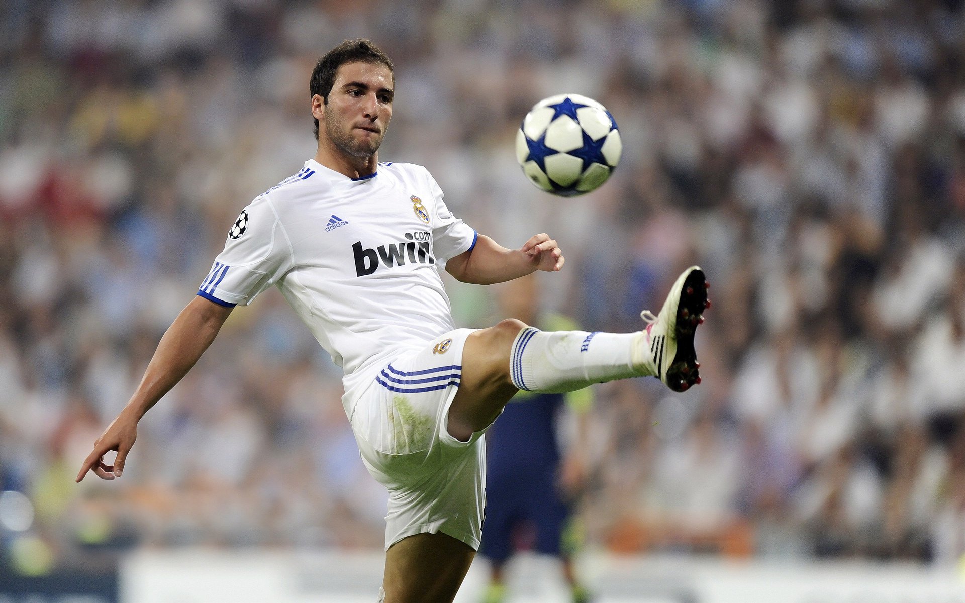 克罗地亚传统马术赛事“Sinjska Alka”在2024年成功举办，吸引众多观众参与。